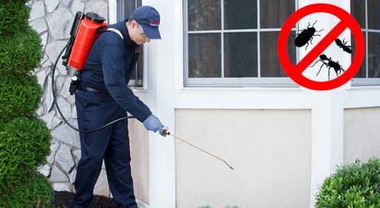 Ağın Hamam Böceği İlaçlama böcek ilaçlama ve haşere kontrolü — ilaclama-tr.com